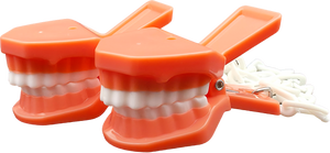 Caiman o porta toalla de tipodonto Clip dental