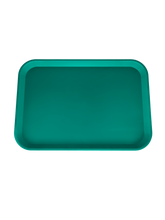 Cargar imagen en el visor de la galería, Charola para instrumental lisa Tipo E