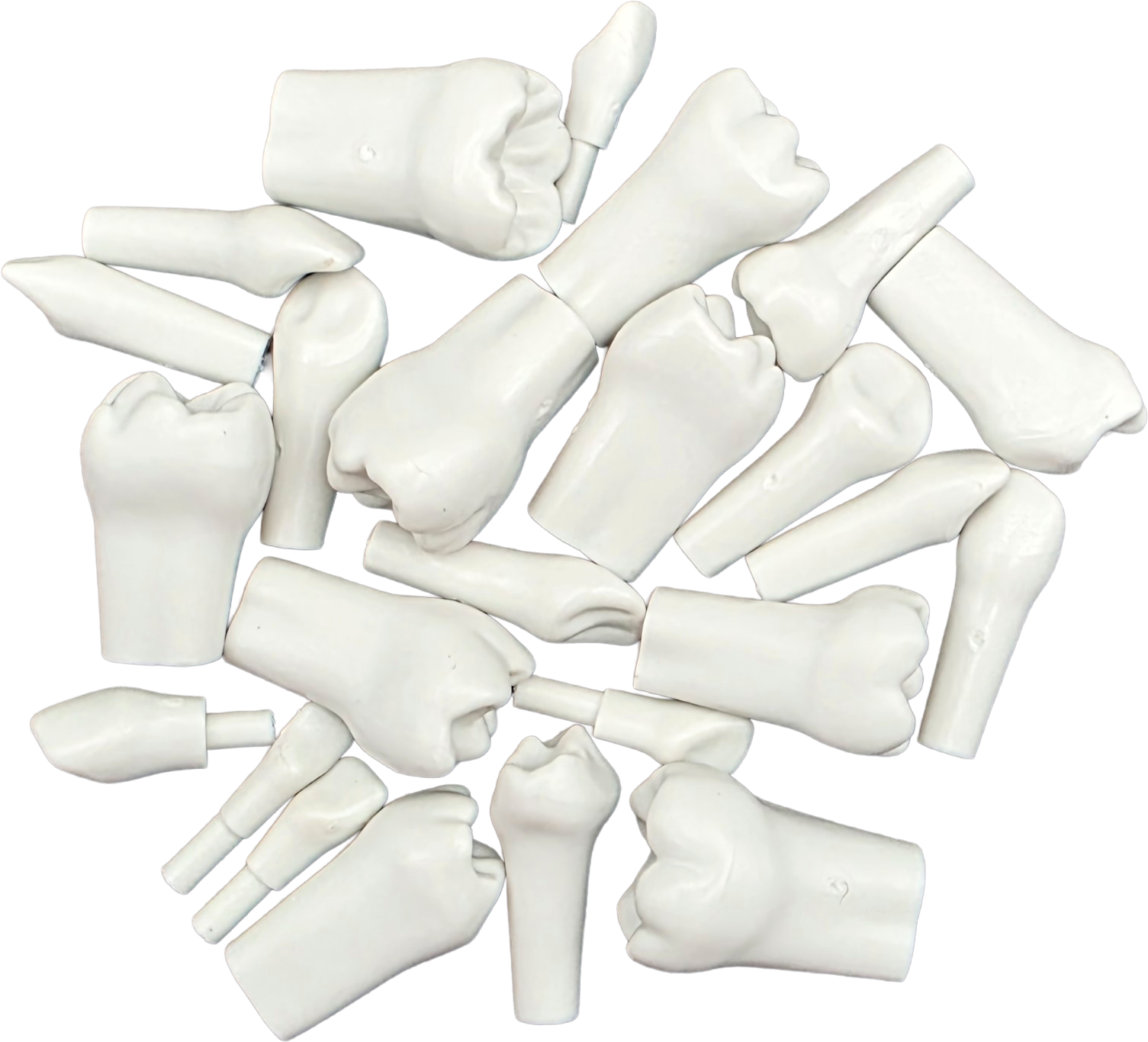 Dientes para tipodonto infantil respuestos