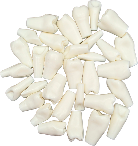 Dientes para tipodonto jumbo repuestos
