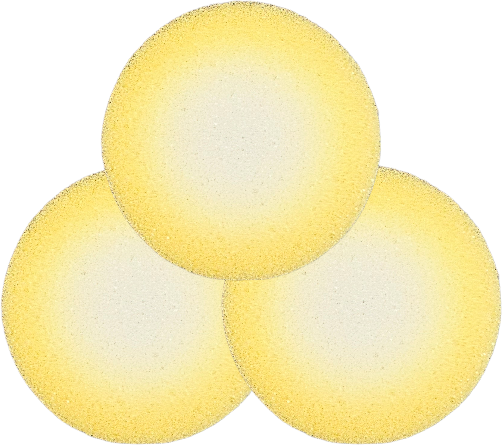 Repuestos para vaso para autoclavar limas