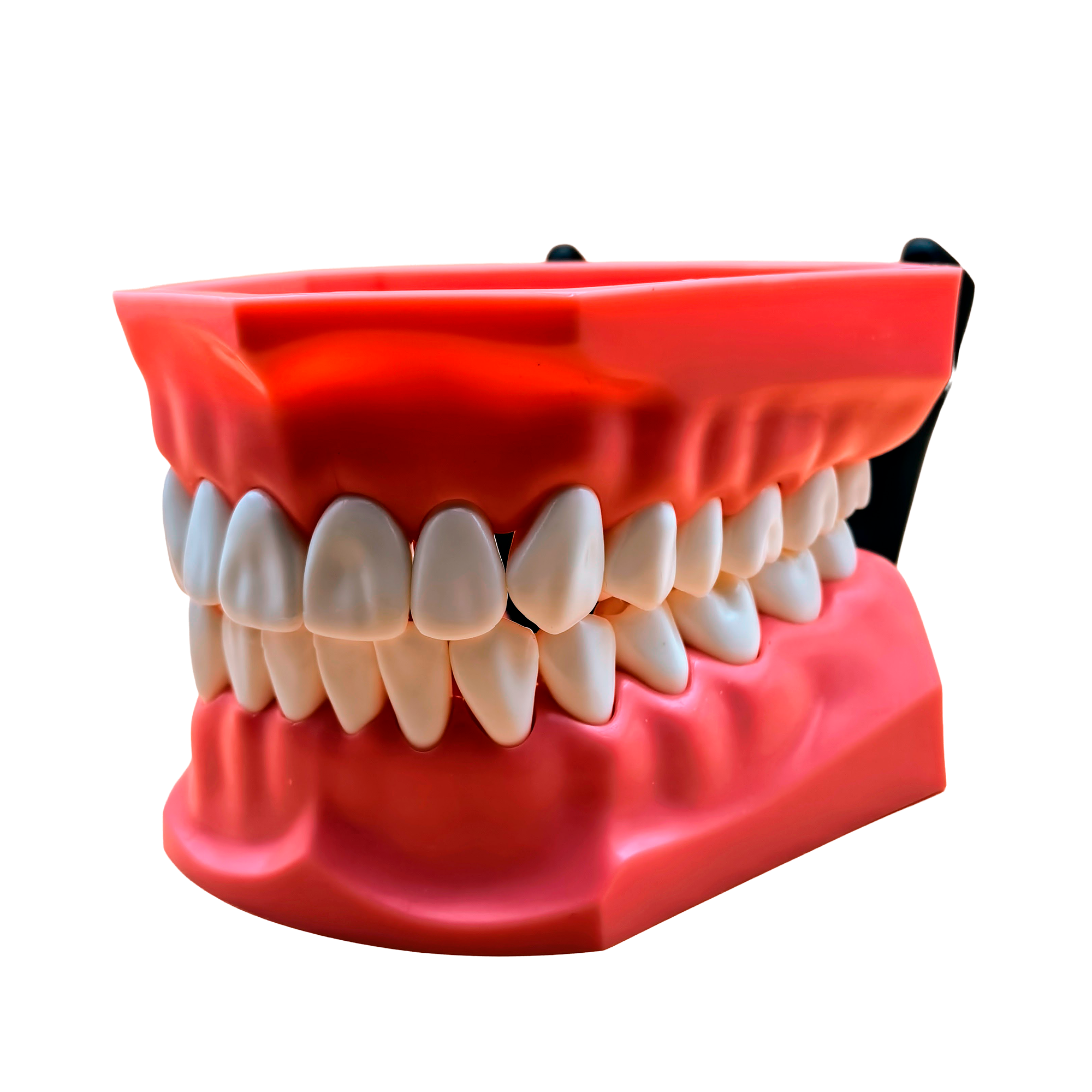 BakelDental