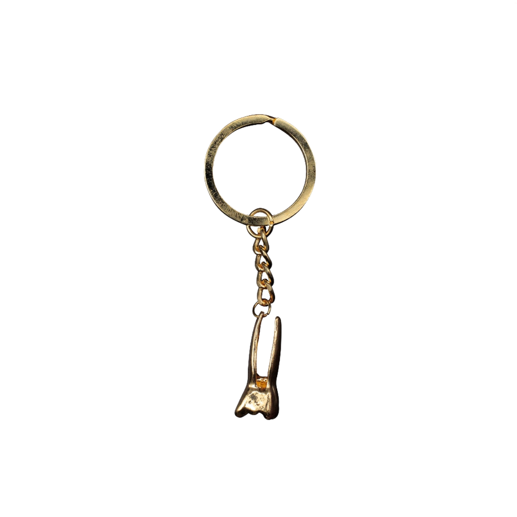Llavero de un molar metálico