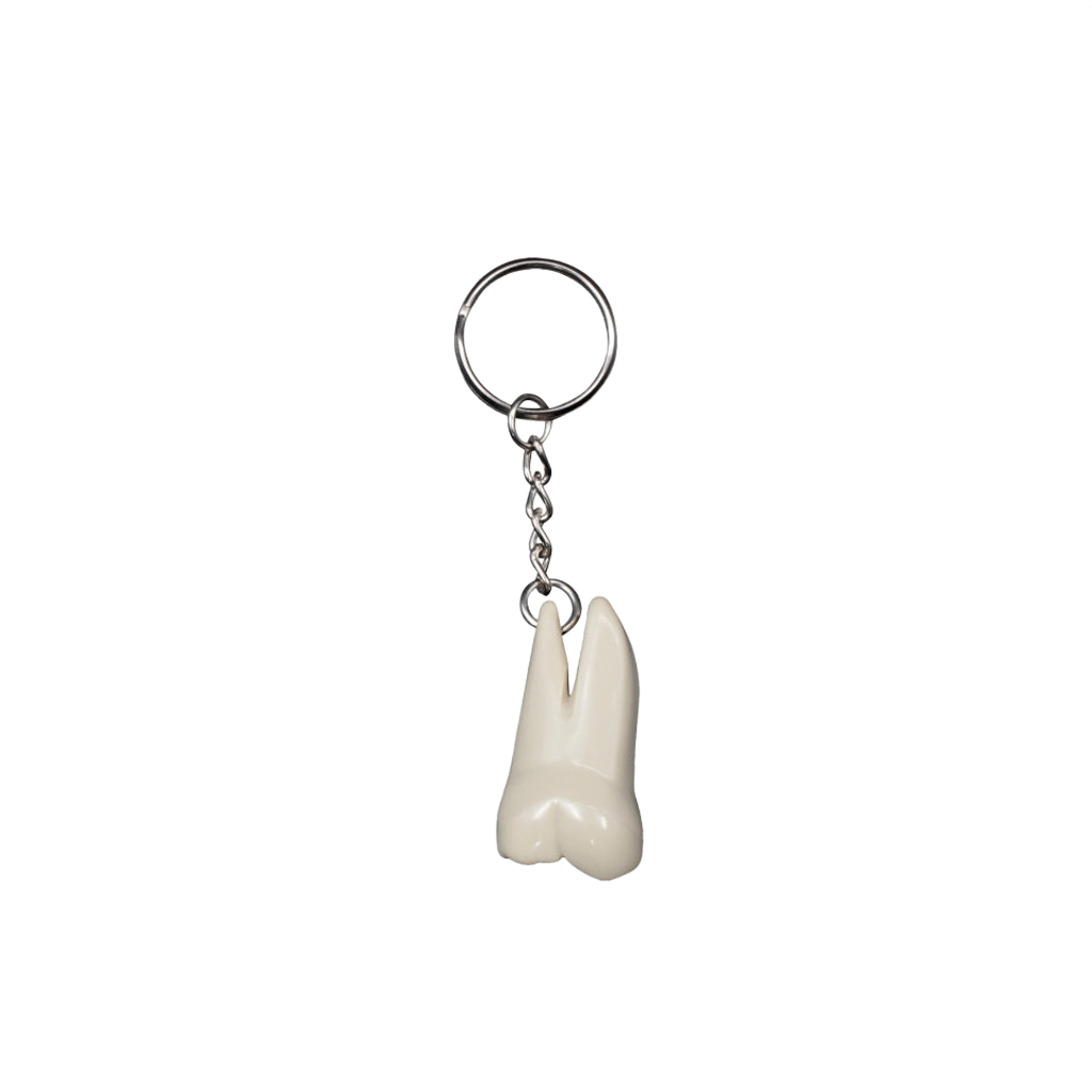 Llavero de molar elite