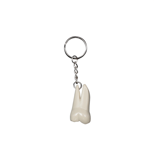 Llavero de molar elite