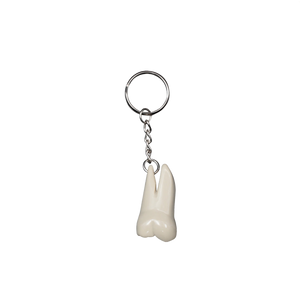 Llavero de molar elite