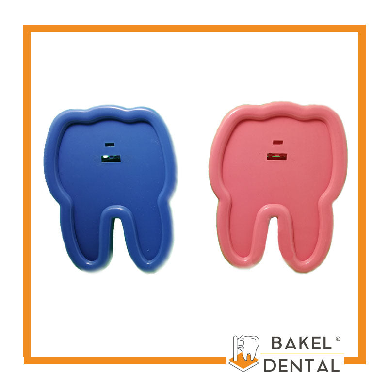 PORTA RETRATO DE MUELA INDIVIDUAL