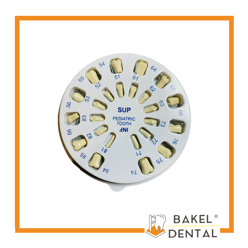 Dientes para Tipodonto tipo Columbia Infantil