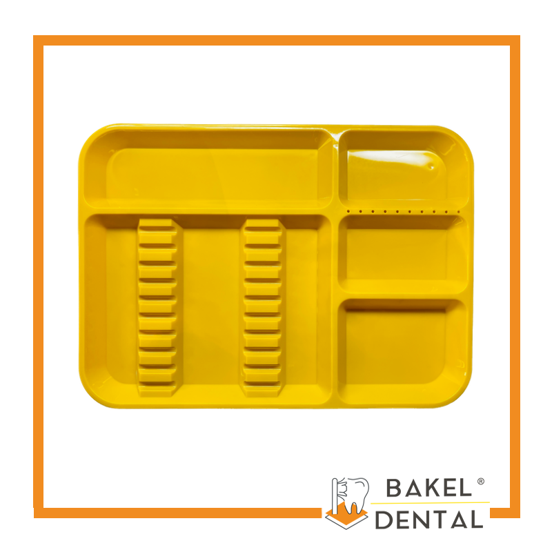 Charola para instrumental con Divisiones Grande