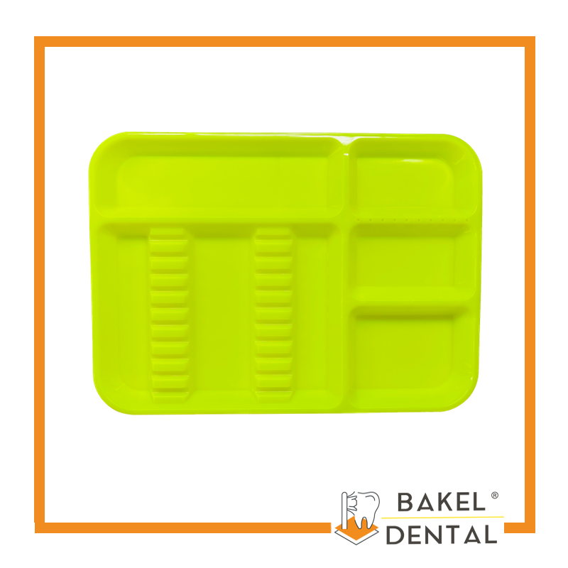 Charola para instrumental con Divisiones Grande