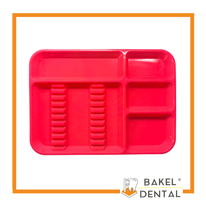 Charola para instrumental con Divisiones Grande