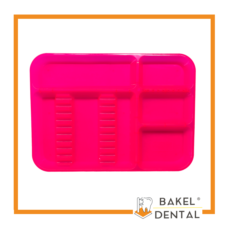 Charola para instrumental con Divisiones Grande