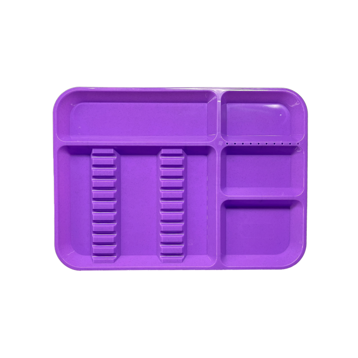 Charola para instrumental con Divisiones Grande