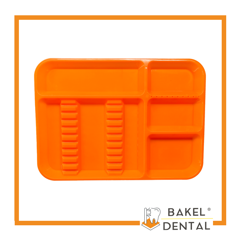 Charola para instrumental con Divisiones Grande