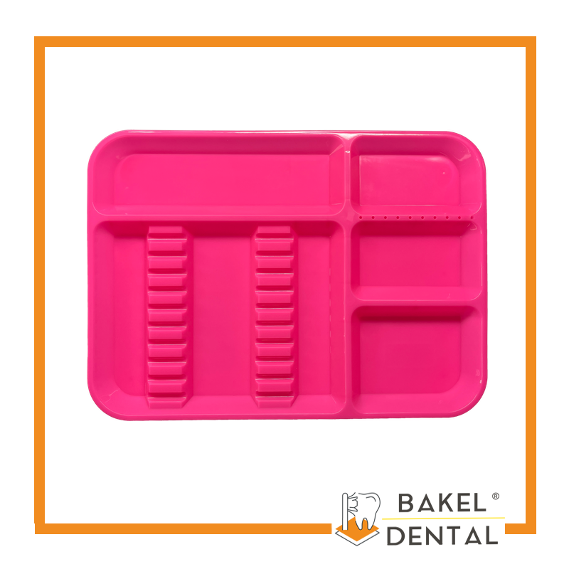 Charola para instrumental con Divisiones Grande