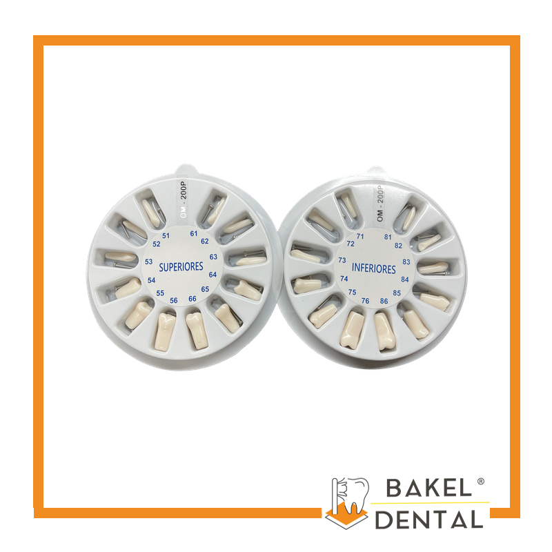 Dientes para Tipodonto tipo Nissin Infantil